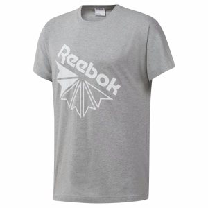 Reebok Classic Graphic T Shirt Herren - Grau - DE 287-HQF